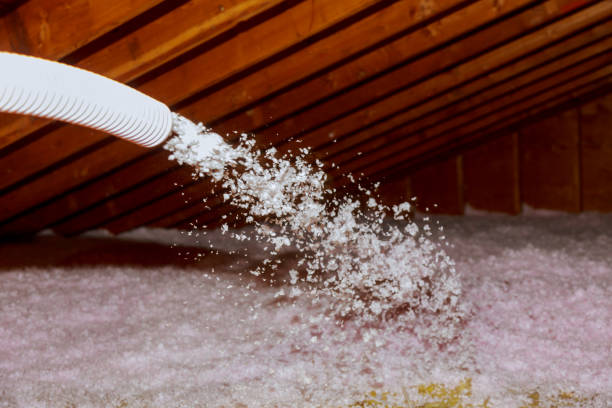 Best Insulation Contractors for Homes  in Washington, PA