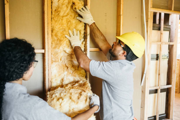 Best Soundproof Insulation Installation  in Washington, PA